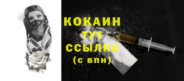 индика Михайловск