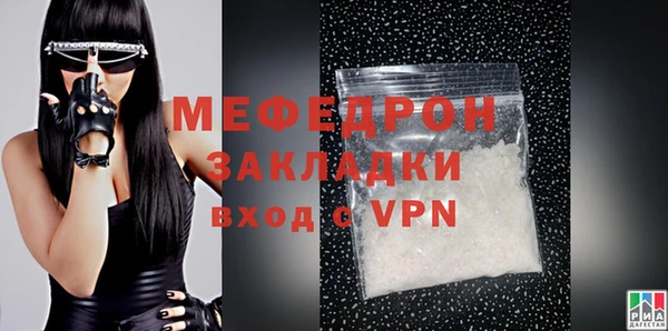 индика Михайловск