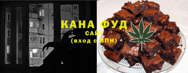 индика Михайловск
