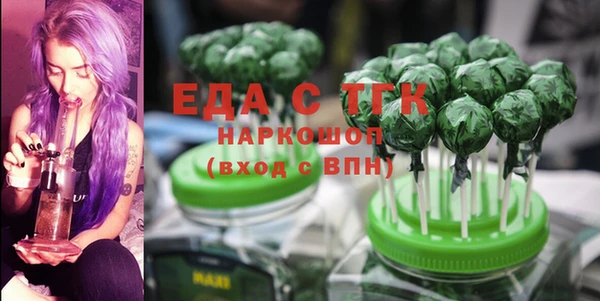 индика Михайловск